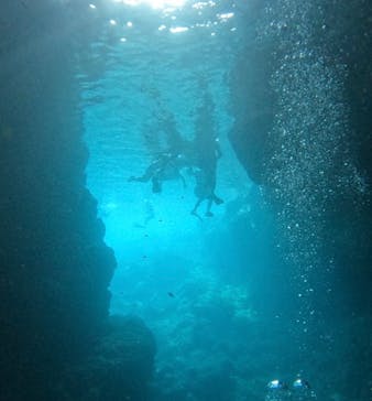 武藤潜水に投稿された画像（2025/8/8）