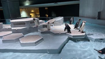 AOAO SAPPOROに投稿された画像（2025/8/8）