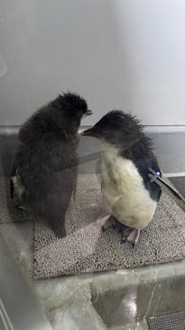 AOAO SAPPOROに投稿された画像（2025/8/8）