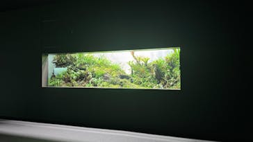 AOAO SAPPOROに投稿された画像（2025/8/8）