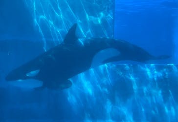 名古屋港水族館に投稿された画像（2025/8/8）