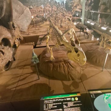 福井県立恐竜博物館に投稿された画像（2025/8/8）