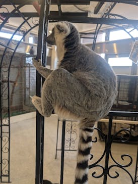 アニタッチみなとみらいに投稿された画像（2025/8/8）