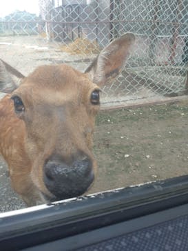 東北サファリパークに投稿された画像（2025/8/8）