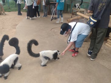 東北サファリパークに投稿された画像（2025/8/8）