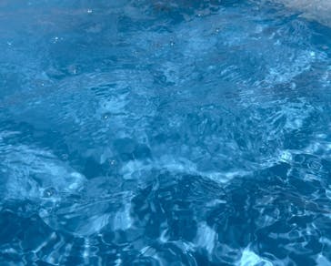 しらこばと水上公園（埼玉県公園緑地協会）に投稿された画像（2025/8/8）