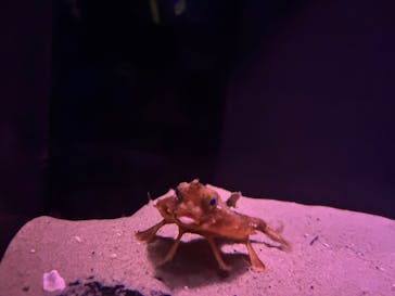 名古屋港水族館に投稿された画像（2025/8/8）