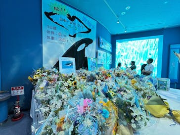 名古屋港水族館に投稿された画像（2025/8/8）