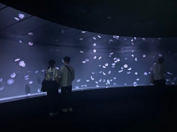 サンシャイン水族館に投稿された画像（2025/8/8）