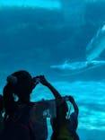 名古屋港水族館に投稿された画像（2025/8/8）