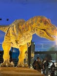 福井県立恐竜博物館に投稿された画像（2025/8/8）