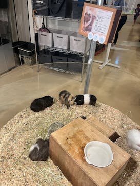 Moff animal cafe イオンモール幕張新都心店に投稿された画像（2025/8/8）