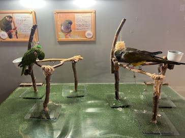 Moff animal cafe イオンモール幕張新都心店に投稿された画像（2025/8/8）