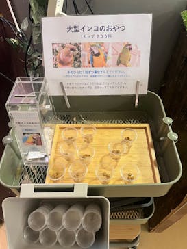 Moff animal cafe イオンモール幕張新都心店に投稿された画像（2025/8/8）