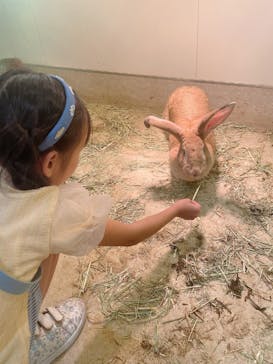 アニタッチららぽーと名古屋みなとアクルスに投稿された画像（2025/8/8）