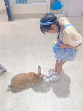 アニタッチららぽーと名古屋みなとアクルスに投稿された画像（2025/8/8）