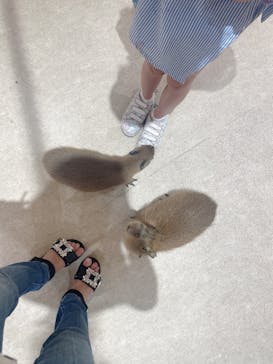 アニタッチららぽーと名古屋みなとアクルスに投稿された画像（2025/8/8）