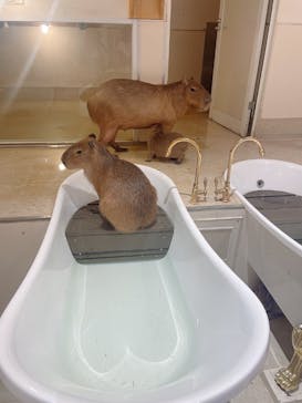 アニタッチららぽーと名古屋みなとアクルスに投稿された画像（2025/8/8）