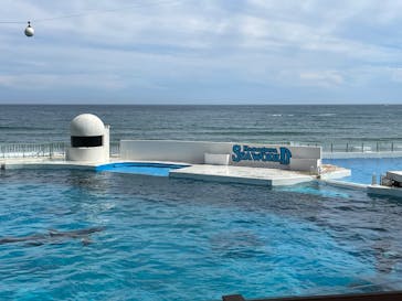 鴨川シーワールドに投稿された画像（2025/8/8）