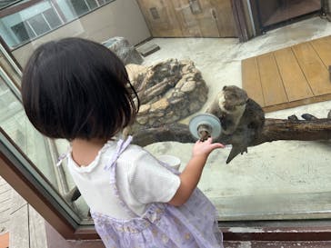 横浜・八景島シーパラダイスに投稿された画像（2025/8/8）