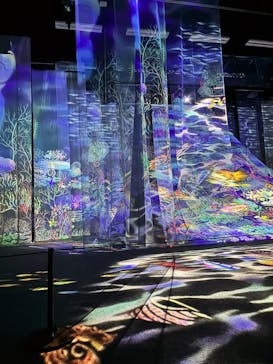 旅する光の切り絵展 ～くうそうって、まほうだよ～に投稿された画像（2025/8/8）