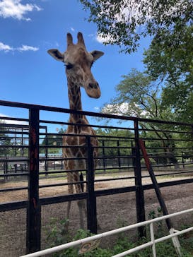 宇都宮動物園に投稿された画像（2025/8/8）
