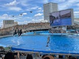 名古屋港水族館に投稿された画像（2025/8/8）