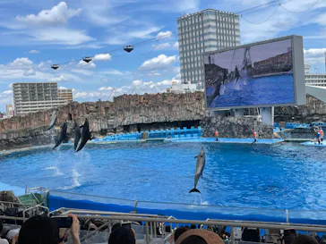 名古屋港水族館に投稿された画像（2025/8/8）