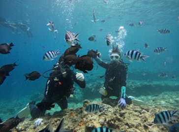 武藤潜水に投稿された画像（2025/8/8）