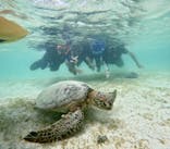 OCEAN LIFE 宮古島に投稿された画像（2025/8/8）