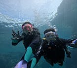 武藤潜水に投稿された画像（2025/8/8）