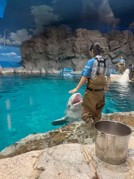 名古屋港水族館に投稿された画像（2025/8/8）