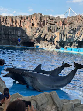 名古屋港水族館に投稿された画像（2025/8/8）