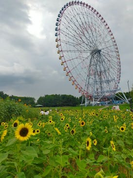 葛西臨海水族園に投稿された画像（2025/8/8）