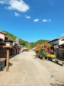 伊勢忍者キングダムに投稿された画像（2025/8/8）