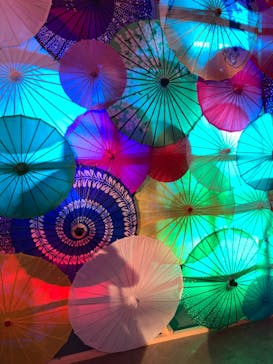 錦鯉・金魚アクアリウム in ときメッセに投稿された画像（2025/8/8）