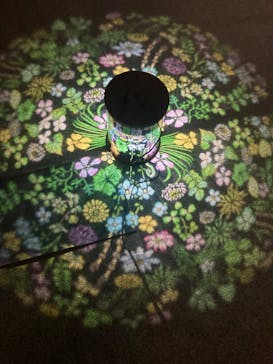 旅する光の切り絵展 ～くうそうって、まほうだよ～に投稿された画像（2025/8/8）