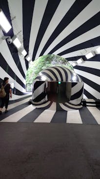 清津峡渓谷トンネルに投稿された画像（2025/8/8）