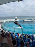 鴨川シーワールドに投稿された画像（2025/8/8）