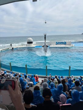 鴨川シーワールドに投稿された画像（2025/8/8）