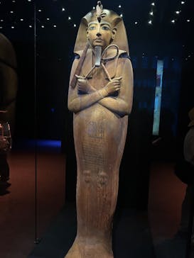 ACN ラムセス大王展 ファラオたちの黄金に投稿された画像（2025/8/8）