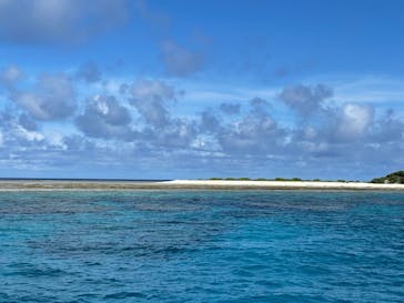 M.a.r.i.n.e Factoryに投稿された画像（2025/8/8）