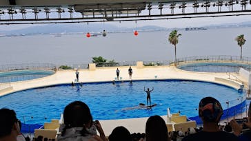 マリンワールド海の中道に投稿された画像（2025/8/8）