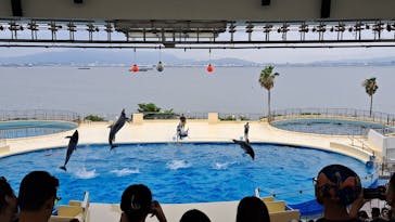 マリンワールド海の中道に投稿された画像（2025/8/8）