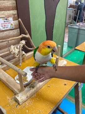 いきもの探検隊上尾に投稿された画像（2025/8/8）