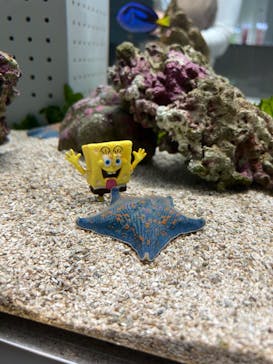 AOAO SAPPOROに投稿された画像（2025/8/8）