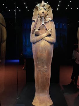 ACN ラムセス大王展 ファラオたちの黄金に投稿された画像（2025/8/8）