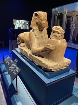 ACN ラムセス大王展 ファラオたちの黄金に投稿された画像（2025/8/8）