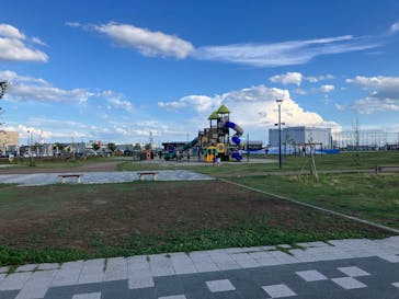 仙台うみの杜水族館に投稿された画像（2025/8/8）