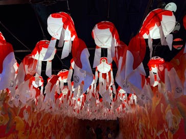 錦鯉・金魚アクアリウム in ときメッセに投稿された画像（2025/8/8）